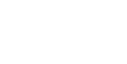 Whyline